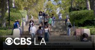 Studies show more college students are accessing mental health resources