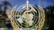 OMS preparado para la reconstrucción del sistema sanitario en Gaza tras el alto el fuego