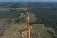 Brasil acelera la caída de la deforestación en vísperas de acoger la cumbre del clima