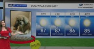 South Florida dog walk forecast: Pleasant, partly cloudy