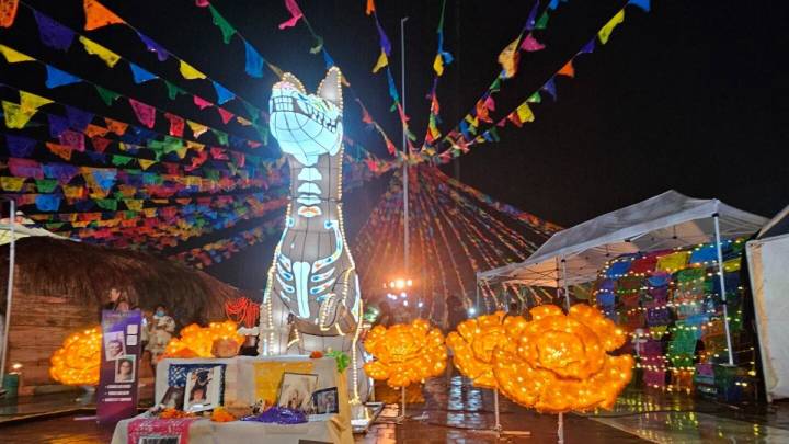 Día de Muertos: ¿Qué elementos debe llevar la ofrenda para tus mascotas y cuándo se debe poner?
