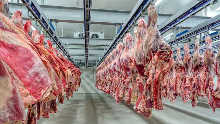 Funcionaria de Trump condicionó compra de carne argentina: "Tiene aftosa"