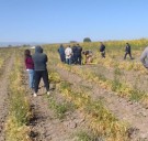 Encuentran sin vida a jornalero en Poanas, Durango