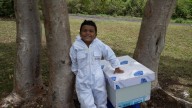 Conoce a Eliel, el apicultor más joven de Puerto Rico