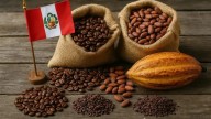 Café y cacao, los granos que marcan un récord histórico en exportaciones: estas son las cifras que mueven al sector