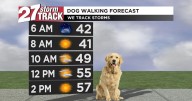 Sunny and seasonable before a slight chance of rain tomorrow