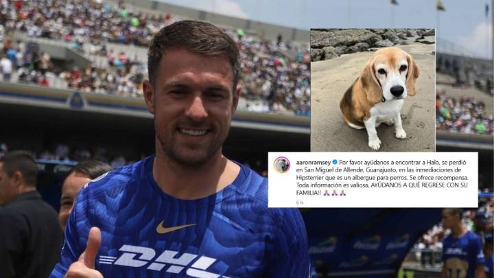 Aaron Ramsey, jugador de Pumas, pide ayuda para encontrar a su perrito que desapareció en San Miguel de Allende Guanajuato