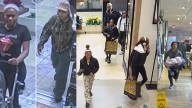 Tens of thousands in merchandise stolen from Back Bay businesses in shoplifting spree