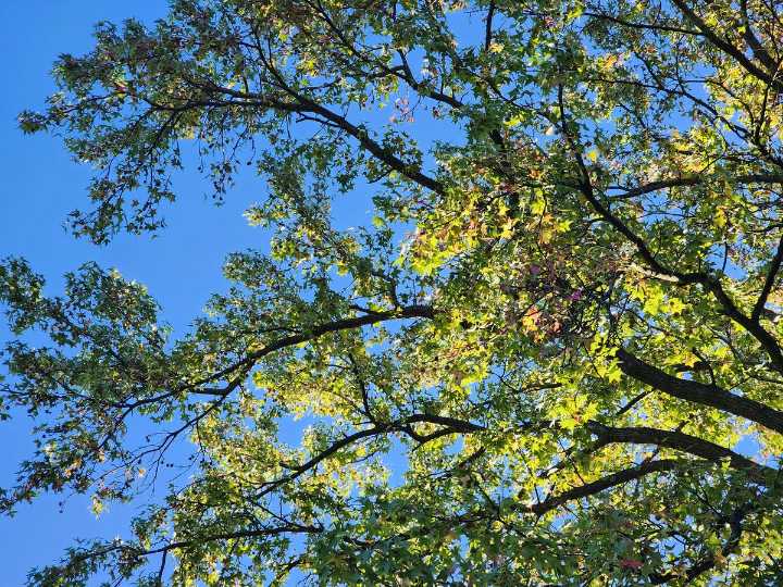 NJ weather: Cool and crisp for now, big warmup for the weekend