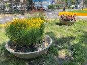 Avanza el plan de mejoramiento vial en la avenida Las Delicias
