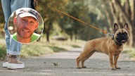 Cuál es la clave a la hora de pasear a tu perro, según un adiestrador canino