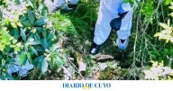 Crimen de Daiana Mendieta: así es el descampado donde encontraron muerta a la joven
