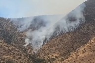 Incendio forestal afecta al sector de Túnel Lo Prado en Curacaví: hay 90 hectáreas dañadas
