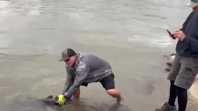 Record-breaking catfish caught and released in Iowa