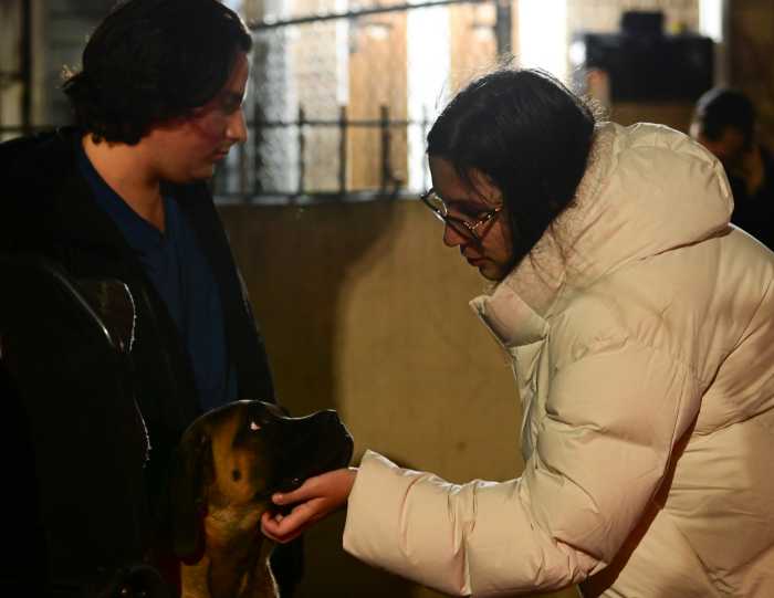 Two die in basement flooding amid torrential NYC rainstorm, including man who tried to save his dogs