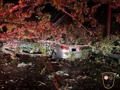 PHOTO: Tree falls on car in East Putnam