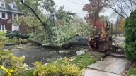 NYC storms: Heavy rain, gusty winds causing damage, transit issues throughout NJ, NYC