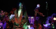 Appleton Halloween display for St. Jude and Dravet syndrome awareness