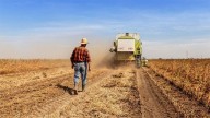 UATRE y RENATRE reclaman la continuidad del Decreto 514/2021 para proteger el empleo rural