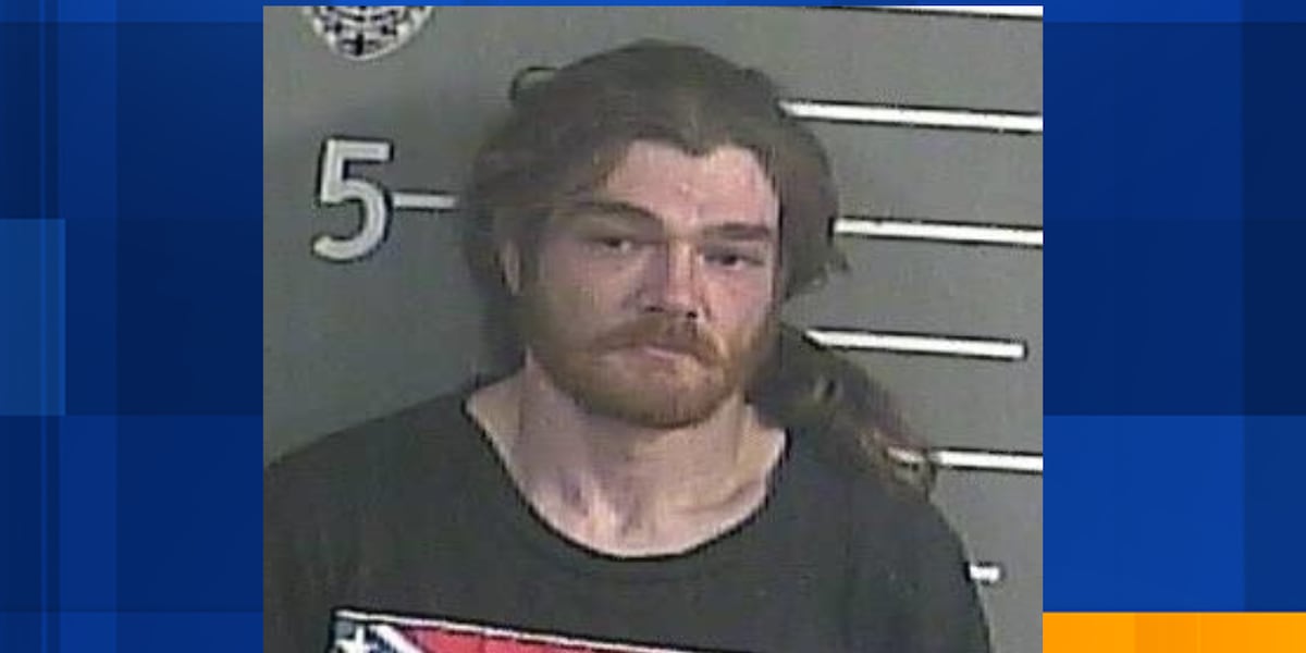 Pike Co. man facing evading/fleeing charges