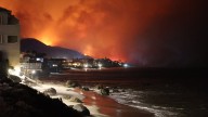 10% of Earth's Land Is at Risk of Wildfire Disaster, Study Finds