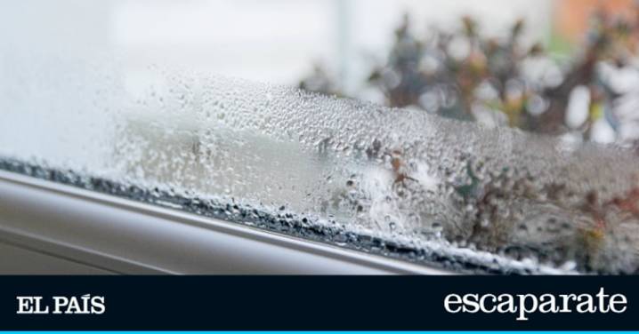 Ni abrir las ventanas ni usar recipientes con sal gruesa: este aparato elimina el exceso de humedad en casa eficientemente