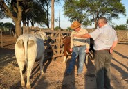 El intendente Pío Sander participó del Remate Ganadero del Programa Genético “El Mirador” en Zaparinqui