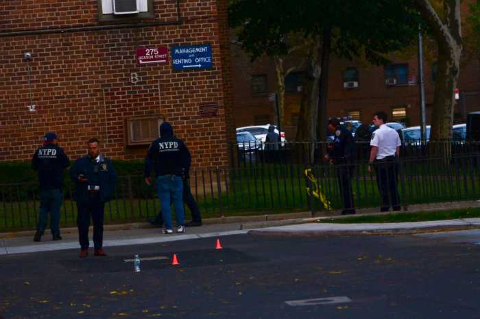 Man shot in the head and critically injured in Brooklyn, police say