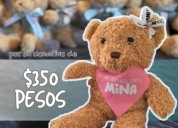 Lanzan campaña en apoyo a la osa Mina