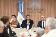 $LIBRA: la comisión de Diputados identificó vínculos entre Terrones Godoy, Novelli y KIP Protocol