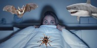 La ciencia detrás de los animales mexicanos que protagonizaron tus pesadillas