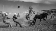 The Guts and Glory of “Indian Rodeo”