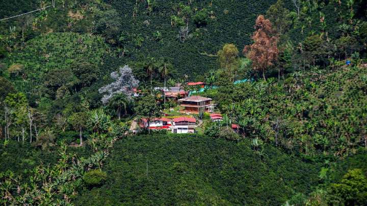 ¿Las APPA violan la autonomía de los municipios? Sigue el tira y aflore entre el Gobierno y Gobernación de Antioquia