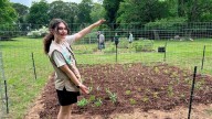 Abby Taft, of East Northport, is a friend for threatened butterflies