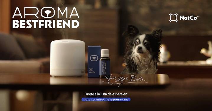 ¿El producto perfecto para quienes deben dejar a su perro solo en casa?