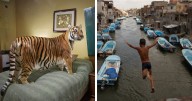 27 Captivating Winning Images Of  1839 Awards