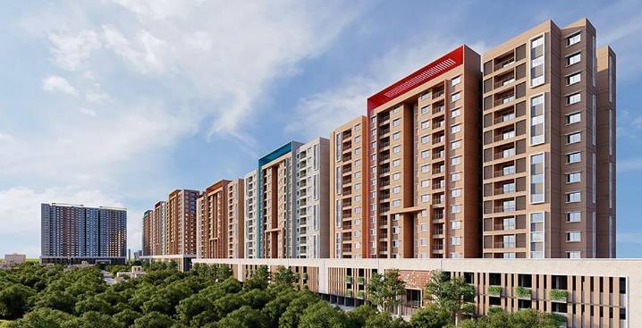 NGO alleges Tamil Nadu officials colluded to clear real estate project inside Pallikaranai marshland