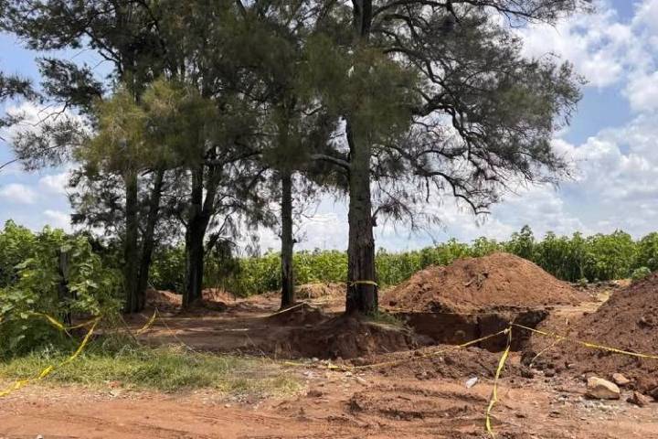 Fragmentación y falta de capacitación frenan localización: especialista