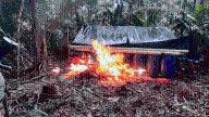Domingo Hernández Lárez indicó: FANB destruye campamento minero en el Estado Amazonas