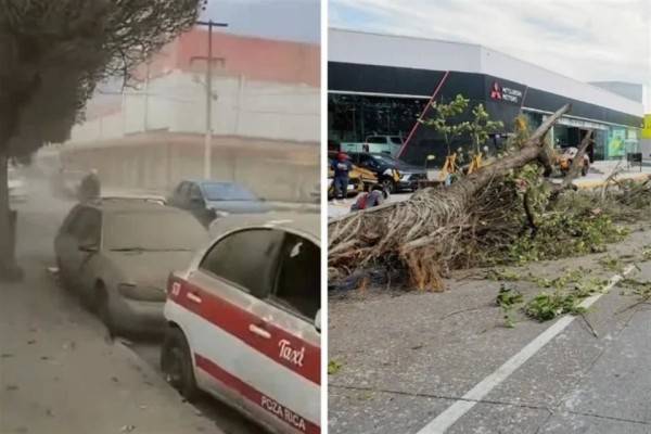 Impacta Frente Frío a zonas ya dañadas en Veracruz