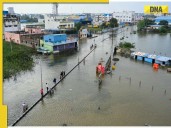 Tamil Nadu Rains: Continuous rainfall brings Chennai to a standstill, affects...
