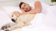 Soy veterinaria y esto es lo que le digo a las personas que duermen con su perro en la cama