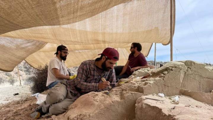 Vuelve el streaming del CONICET para descubrir dinosaurios