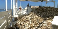 Mississippi oyster season to open October 13