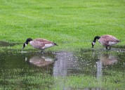 Rainy, windy Monday brings sharp temperature drop to central Pa.