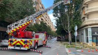 Podan un árbol de Cabestany para asegurar su estabilidad tras la rotura de una cañería