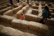 Bay Area pumpkin patches: Your guide to finding the perfect pumpkins this fall