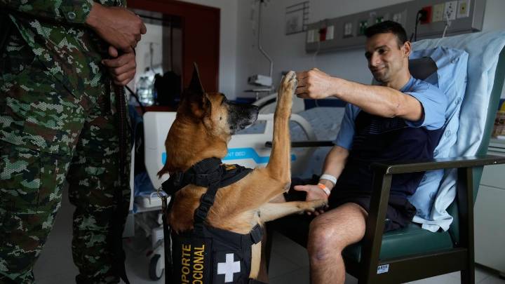 Colombian soldiers find solace in 'furry force' emotional support dogs