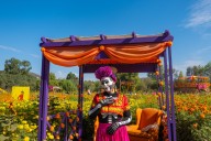 No necesitas morir para conocer el Mictlán, solo ir al Bulevar 2000 para llegar a este mágico lugar