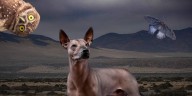 ¿Qué animales habitaban el Mictlán, según las leyendas mexicas?